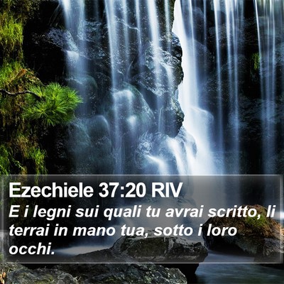 Ezechiele 37:20 RIV Bible Verse Image