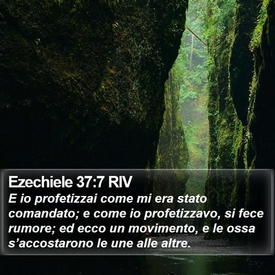 Ezechiele 37:7 RIV Bible Verse Image