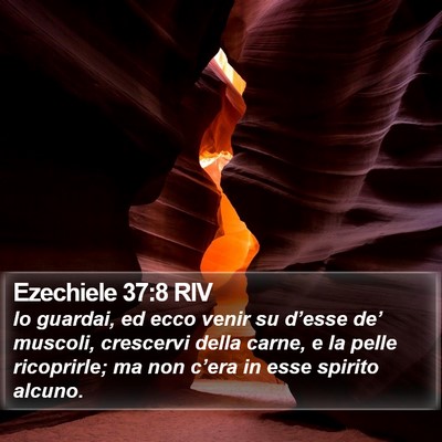 Ezechiele 37:8 RIV Bible Verse Image