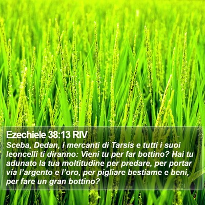 Ezechiele 38:13 RIV Bible Verse Image