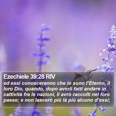 Ezechiele 39:28 RIV Bible Verse Image