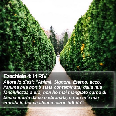 Ezechiele 4:14 RIV Bible Verse Image
