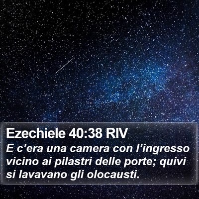 Ezechiele 40:38 RIV Bible Verse Image