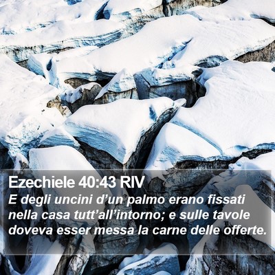 Ezechiele 40:43 RIV Bible Verse Image