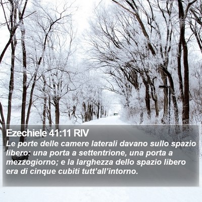 Ezechiele 41:11 RIV Bible Verse Image