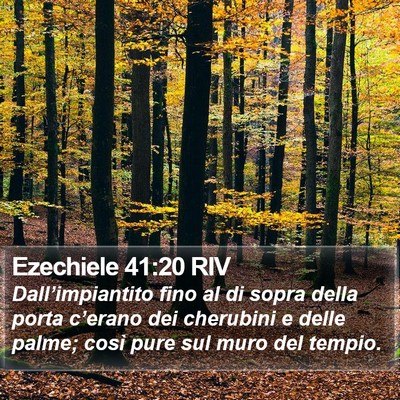 Ezechiele 41:20 RIV Bible Verse Image