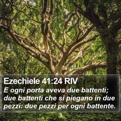 Ezechiele 41:24 RIV Bible Verse Image