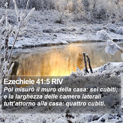 Ezechiele 41:5 RIV Bible Verse Image