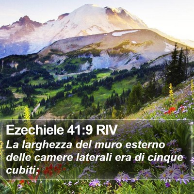 Ezechiele 41:9 RIV Bible Verse Image