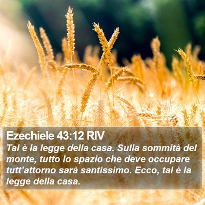 Ezechiele 43:12 RIV Bible Verse Image