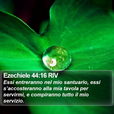Ezechiele 44:16 RIV Bible Verse Image