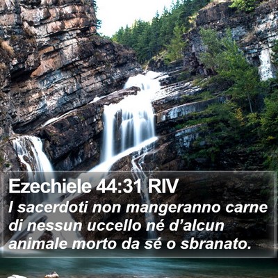 Ezechiele 44:31 RIV Bible Verse Image