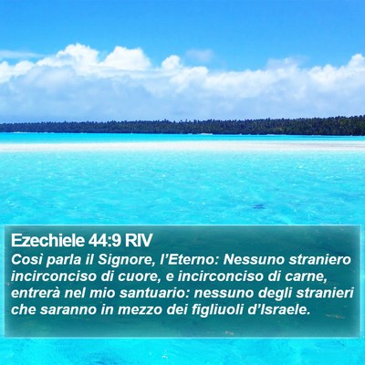 Ezechiele 44:9 RIV Bible Verse Image