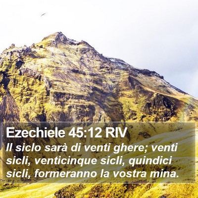 Ezechiele 45:12 RIV Bible Verse Image