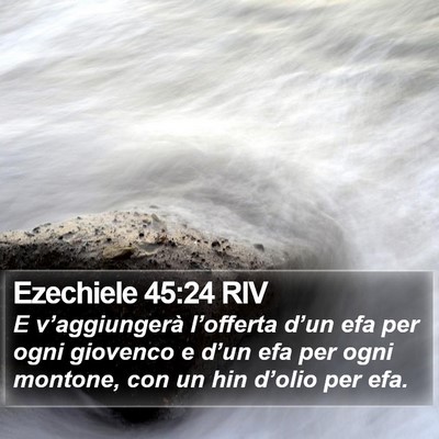 Ezechiele 45:24 RIV Bible Verse Image