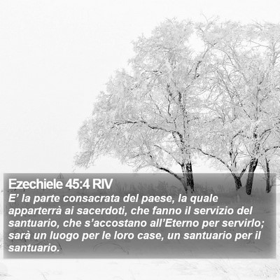 Ezechiele 45:4 RIV Bible Verse Image