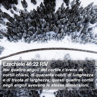 Ezechiele 46:22 RIV Bible Verse Image