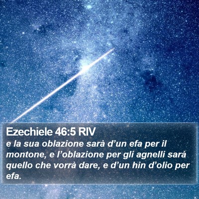 Ezechiele 46:5 RIV Bible Verse Image