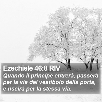 Ezechiele 46:8 RIV Bible Verse Image