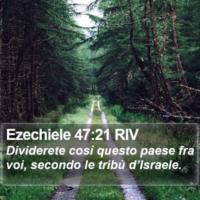 Ezechiele 47:21 RIV Bible Verse Image