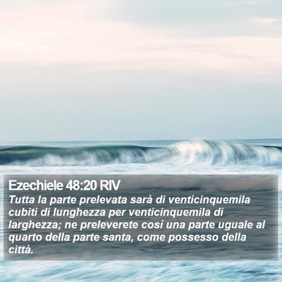 Ezechiele 48:20 RIV Bible Verse Image