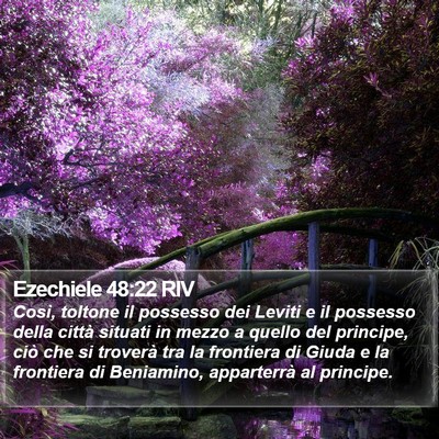 Ezechiele 48:22 RIV Bible Verse Image