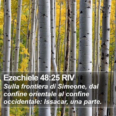 Ezechiele 48:25 RIV Bible Verse Image