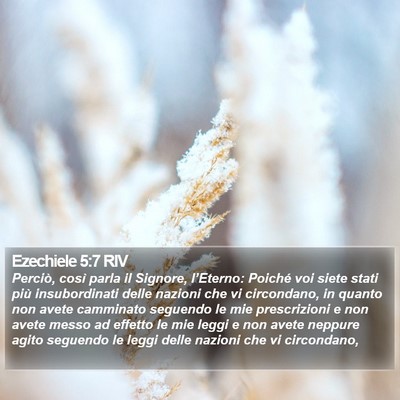 Ezechiele 5:7 RIV Bible Verse Image