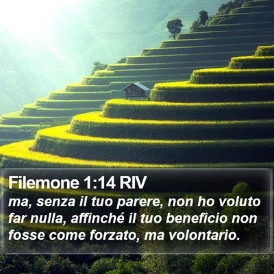 Filemone 1:14 RIV Bible Verse Image