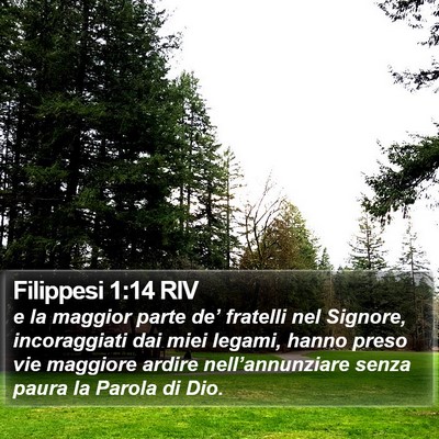 Filippesi 1:14 RIV Bible Verse Image