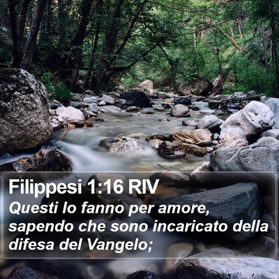 Filippesi 1:16 RIV Bible Verse Image