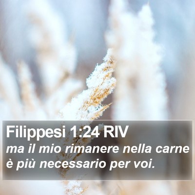 Filippesi 1:24 RIV Bible Verse Image