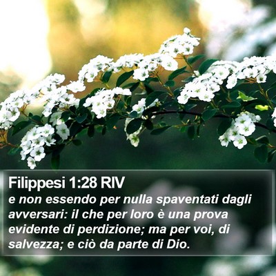 Filippesi 1:28 RIV Bible Verse Image