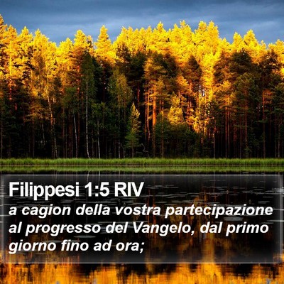 Filippesi 1:5 RIV Bible Verse Image