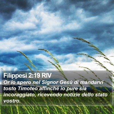 Filippesi 2:19 RIV Bible Verse Image