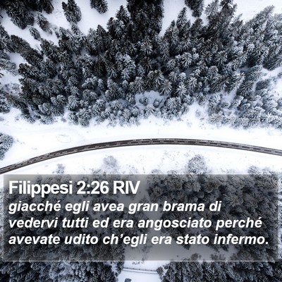 Filippesi 2:26 RIV Bible Verse Image