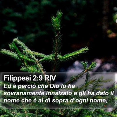 Filippesi 2:9 RIV Bible Verse Image