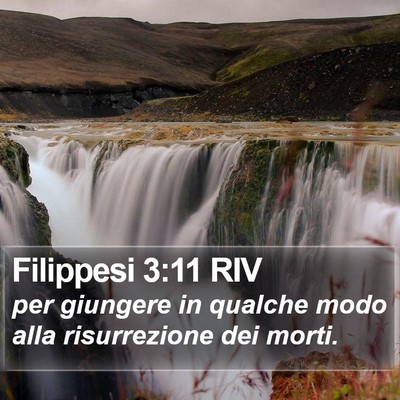 Filippesi 3:11 RIV Bible Verse Image