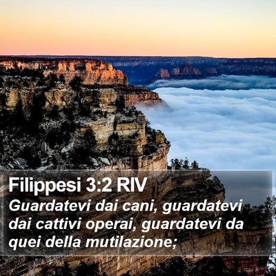 Filippesi 3:2 RIV Bible Verse Image