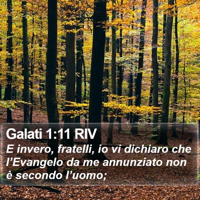 Galati 1:11 RIV Bible Verse Image