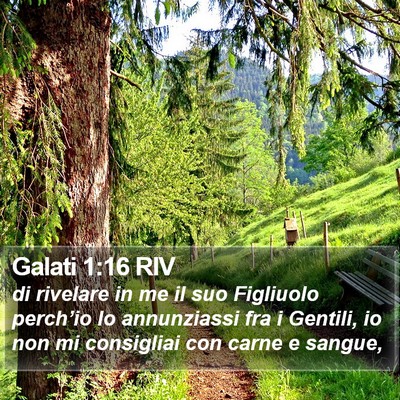 Galati 1:16 RIV Bible Verse Image