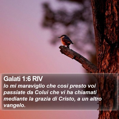Galati 1:6 RIV Bible Verse Image