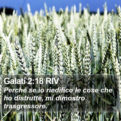 Galati 2:18 RIV Bible Verse Image
