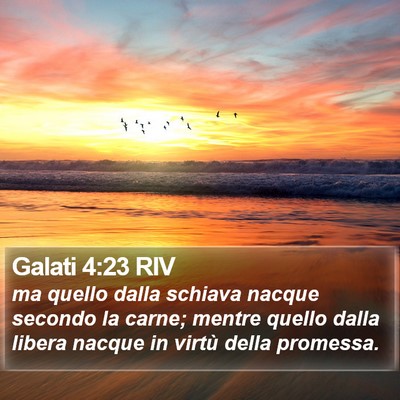 Galati 4:23 RIV Bible Verse Image