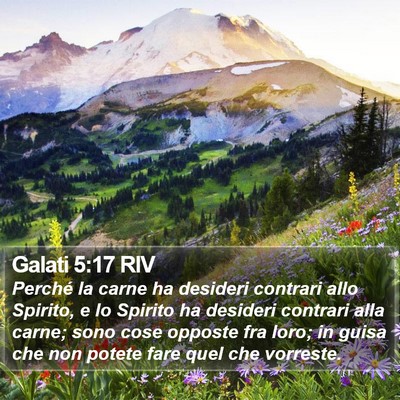 Galati 5:17 RIV Bible Verse Image