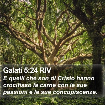 Galati 5:24 RIV Bible Verse Image