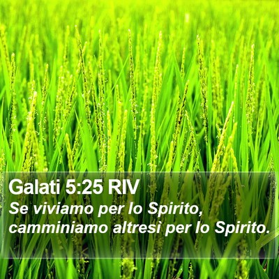 Galati 5:25 RIV Bible Verse Image