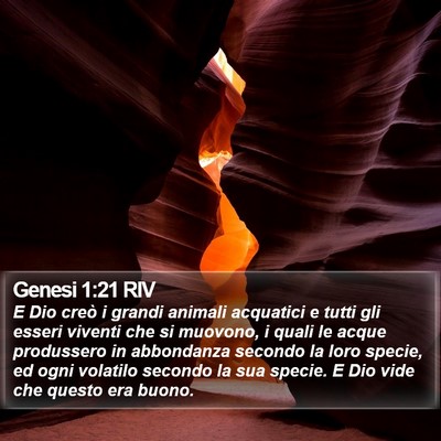 Genesi 1:21 RIV Bible Verse Image