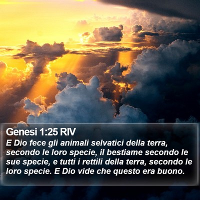 Genesi 1:25 RIV Bible Verse Image