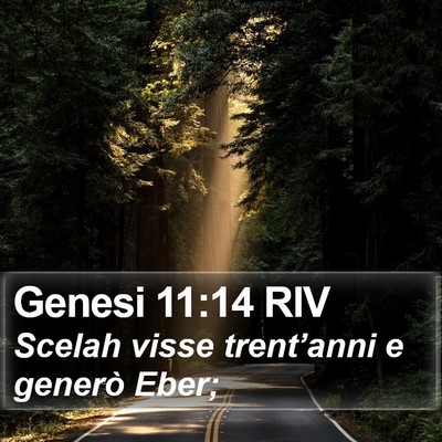 Genesi 11:14 RIV Bible Verse Image
